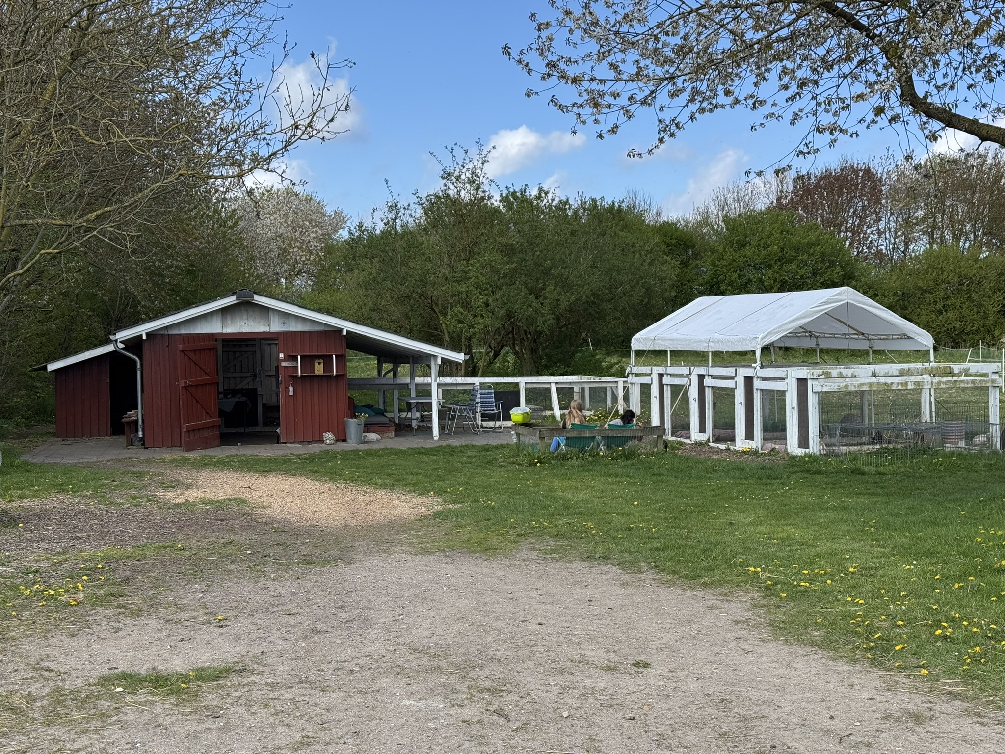 Stort Rødt Kaninhus Og Stor Løbegård