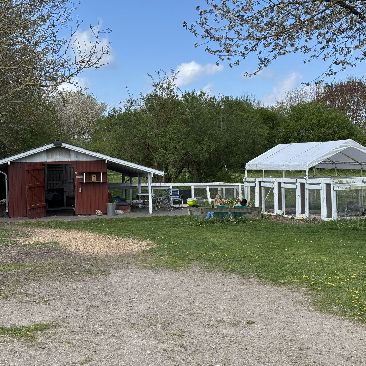 Stort Rødt Kaninhus Og Stor Løbegård