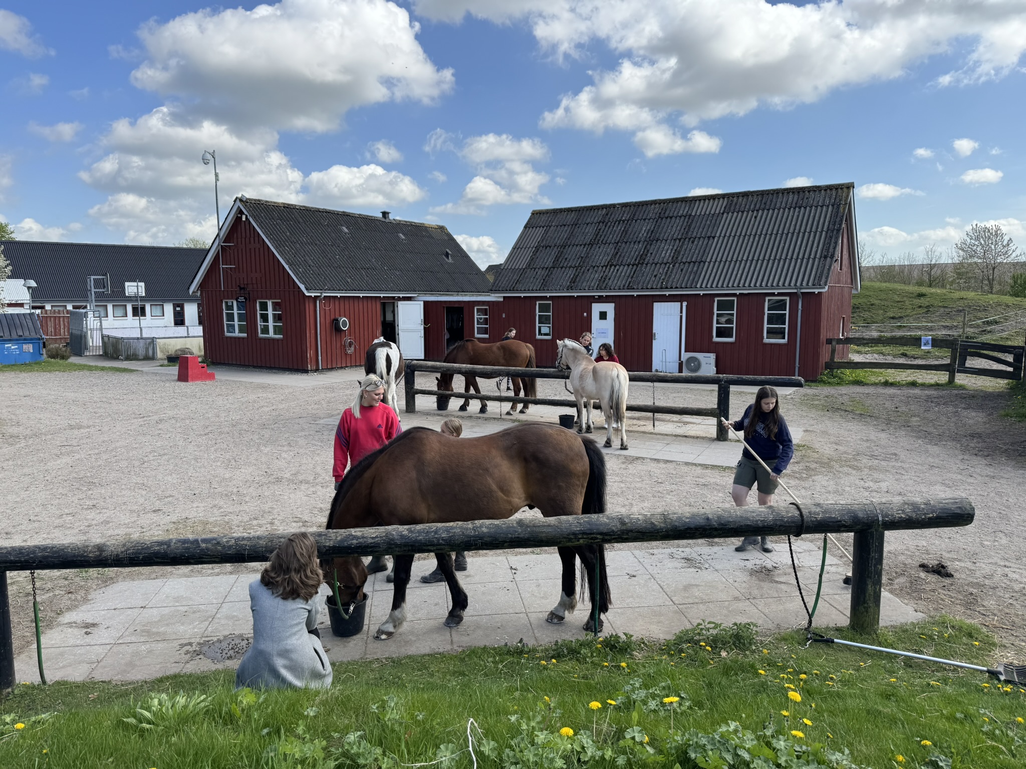 Børn Der Passer Heste Foran Stald