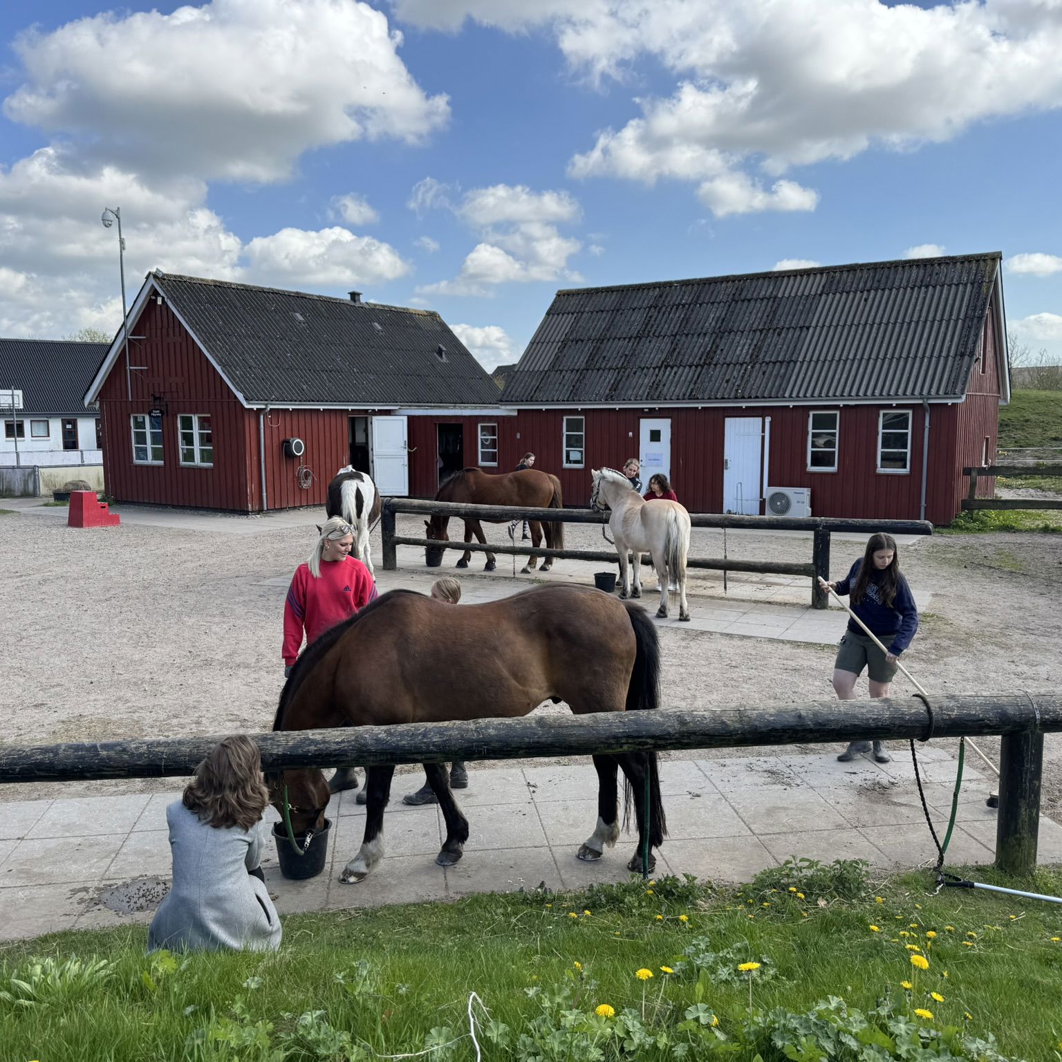 Børn Der Passer Heste Foran Stald