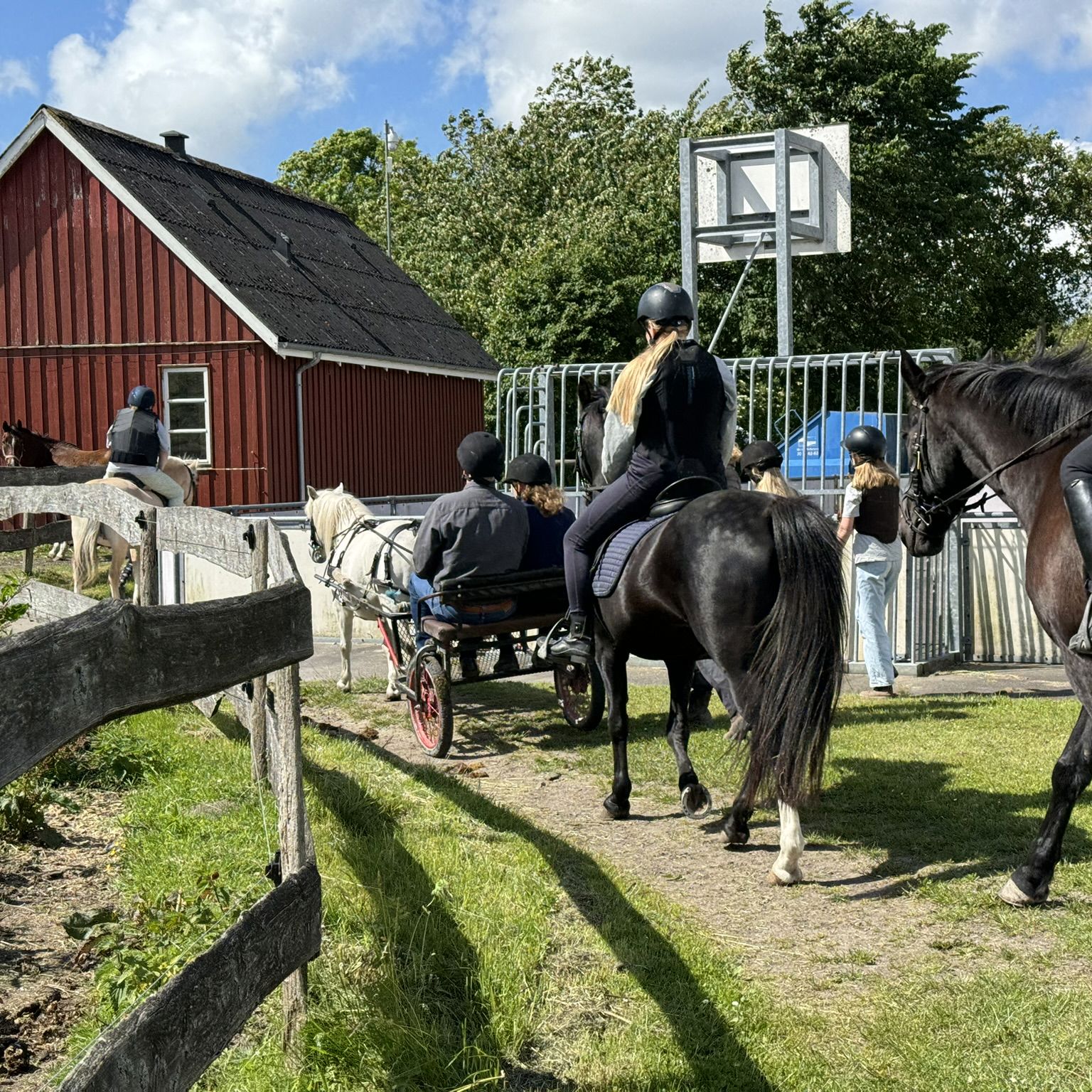 Børn Der Rider På Heste I Lang Række