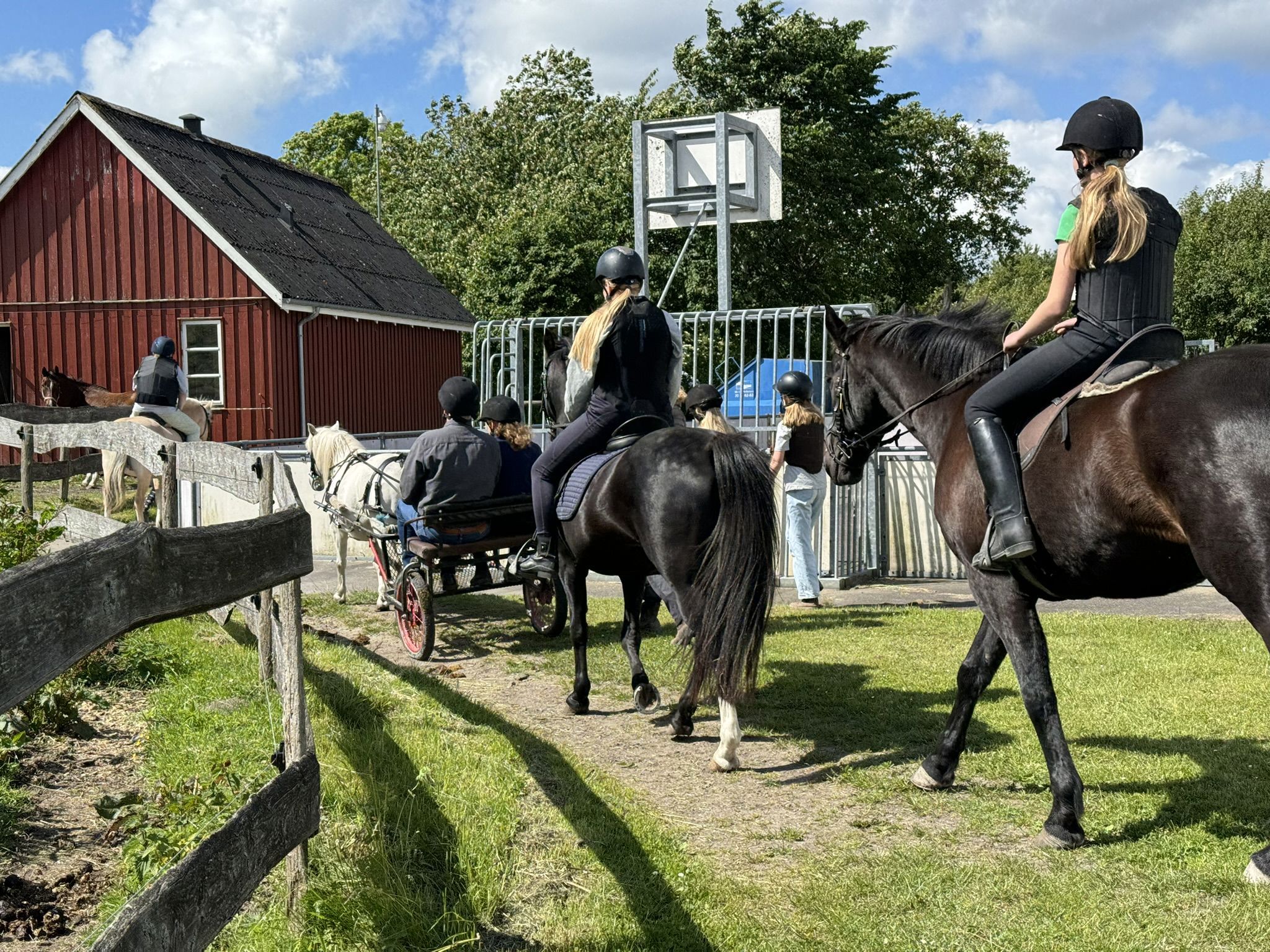 Børn Der Rider På Heste I Lang Række
