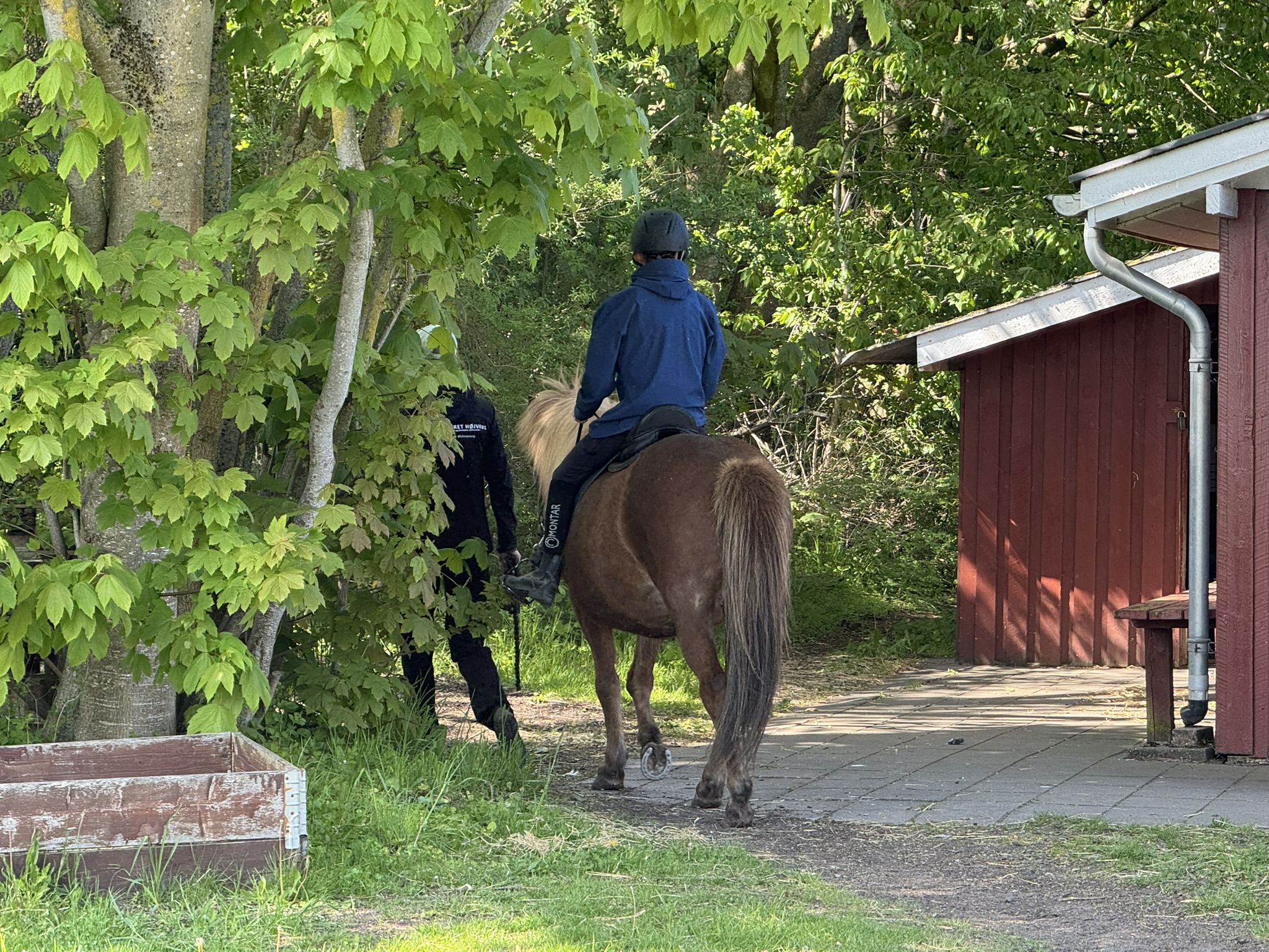 Barn, der rider på brun hest