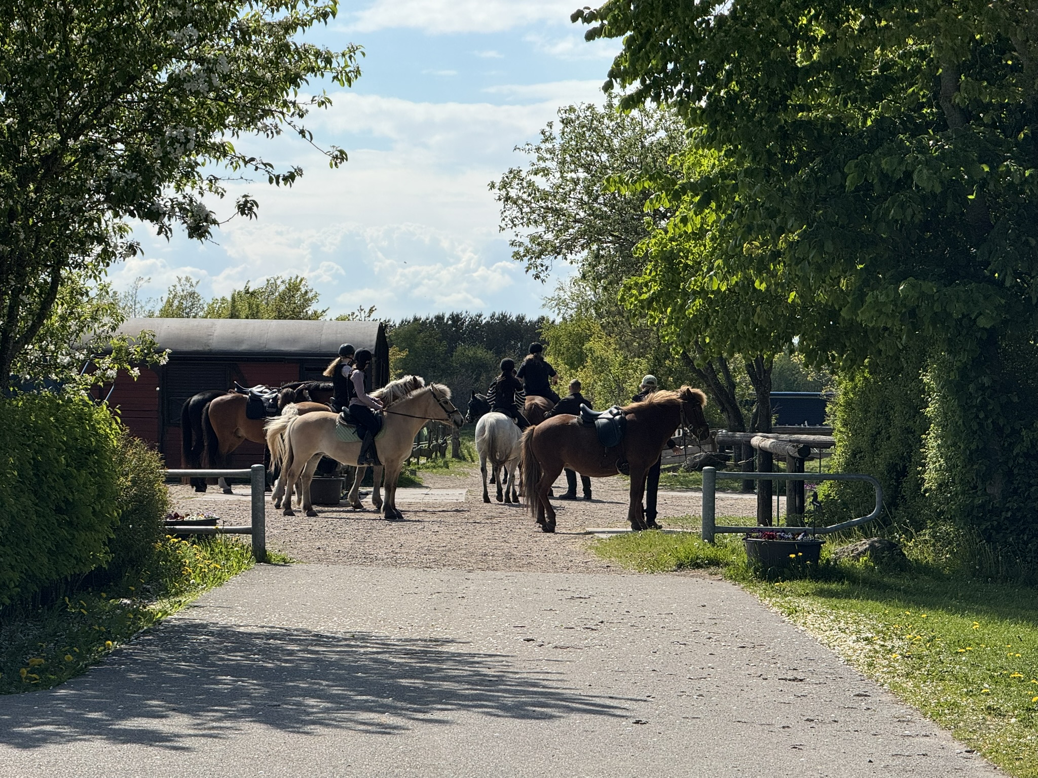 Ryttere Og Heste Forsamlet foran stald